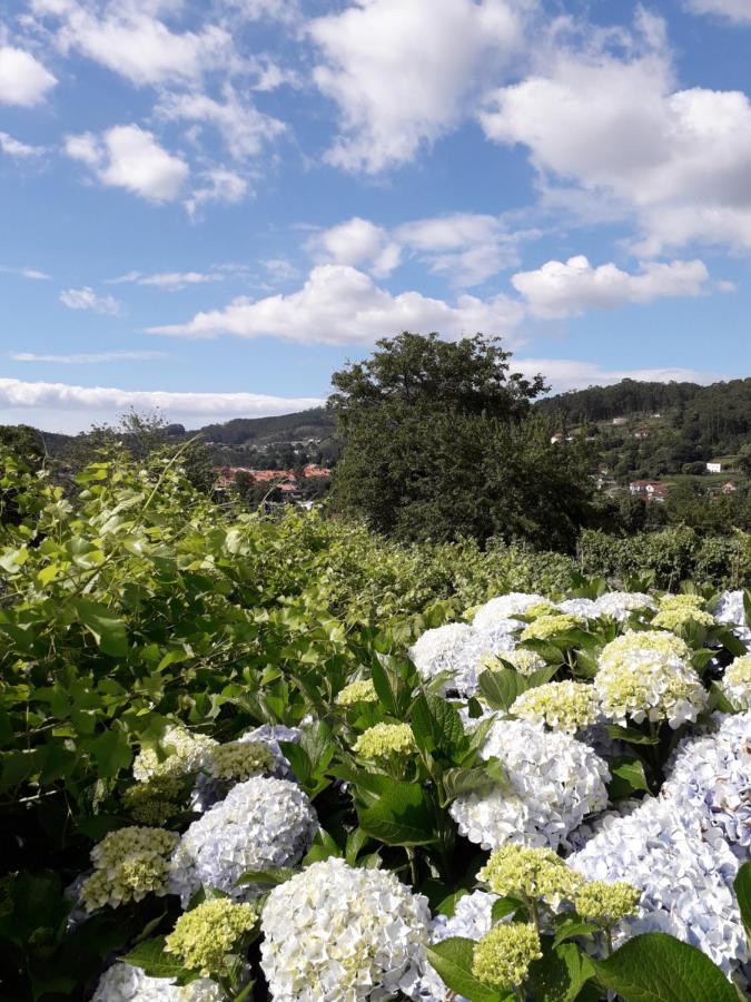 Pensjonat Casa Estarque Gondomar Zewnętrze zdjęcie