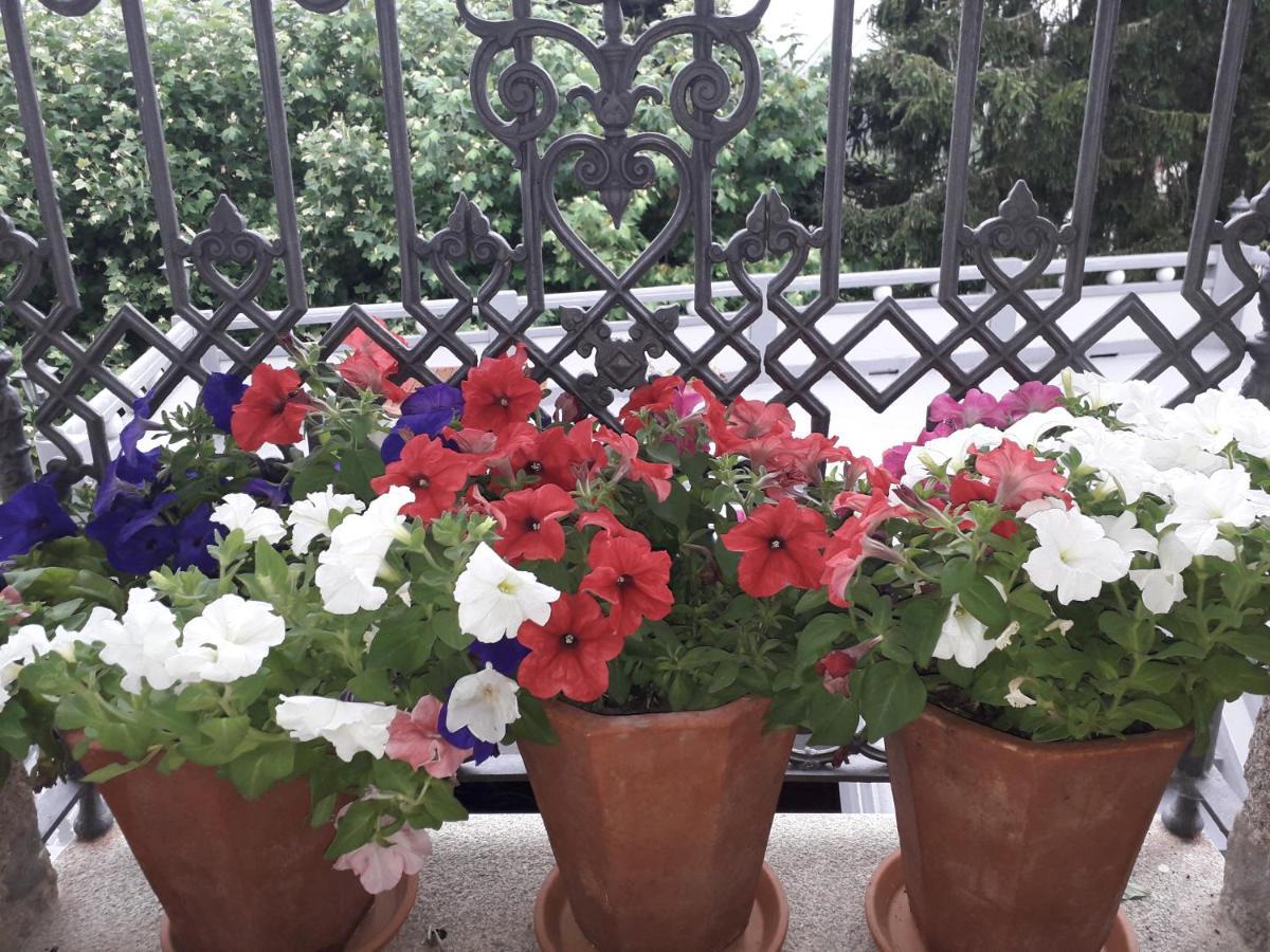Pensjonat Casa Estarque Gondomar Zewnętrze zdjęcie